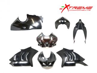 Conduits de refroidissement du système de freinage WRS DUCATI PANIGALE V4 R 