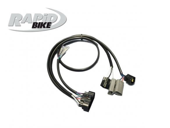 KIT DE CONTRÔLE RAPID BIKE EVO KTM 1290 SUPER DUKE GT 2016-2020 