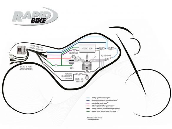 KIT DE CONTRÔLE RAPID BIKE EVO KTM 1290 SUPER DUKE GT 2016-2020 